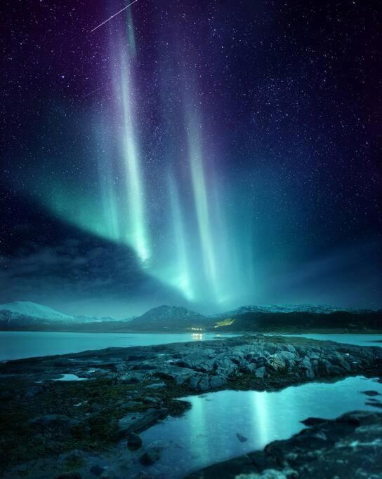 Tromso City Center Retreat المظهر الخارجي الصورة